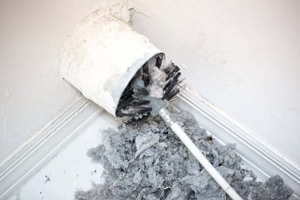 Best Professional Duct Cleaning Services  in Marion, AL